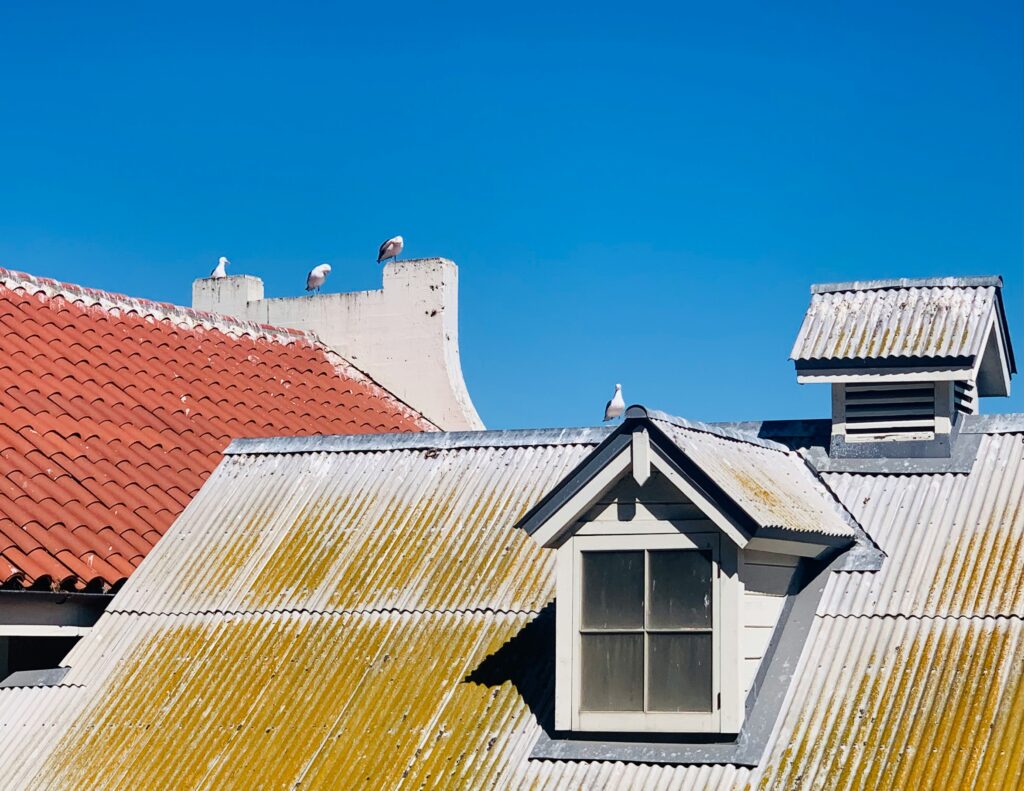 metal roof vs shingles